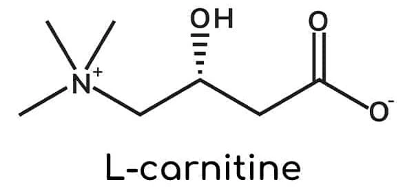 Best L Carnitine Powder2