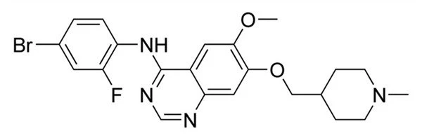 What Type Of Drug Is Vandetanib powder