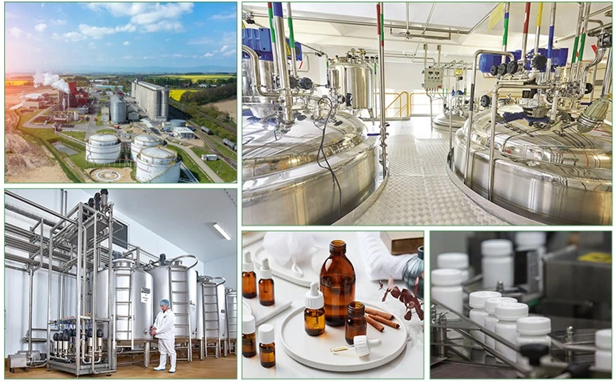 VK5211 Powder factory