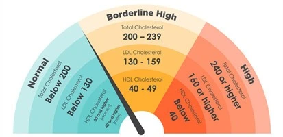 Increased cholesterol levels
