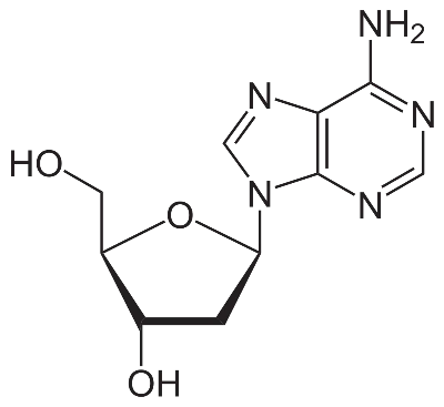 Desoxyadenosinsvg Desoxyadenosinsvg