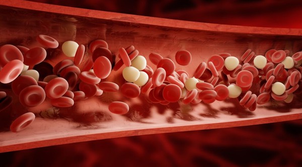 887b66d7fcb8ddd3-5243c7fcd240-blood-vessel-shutterstock250424386 887b66d7fcb8ddd3-5243c7fcd240-blood-vessel-shutterstock250424386