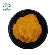 Curcumin þykkni duft