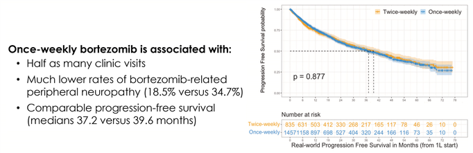 How quickly does bortezomib take effect How quickly does bortezomib take effect