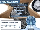Getur Fasoracetam (NS-105) aðstoðað við ADHD meðferð? Ný innsýn í geðheilbrig...
